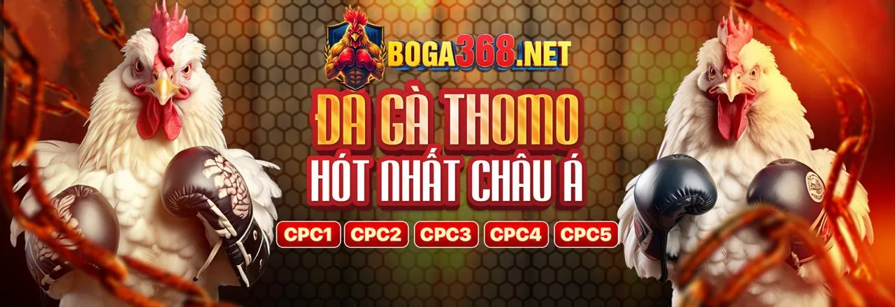 Đá Gà Trực Tuyến Sôi Động tại f1680 app